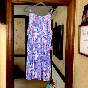 Lily Pulitzer slip dress * size XL* never worn * smoke free home *